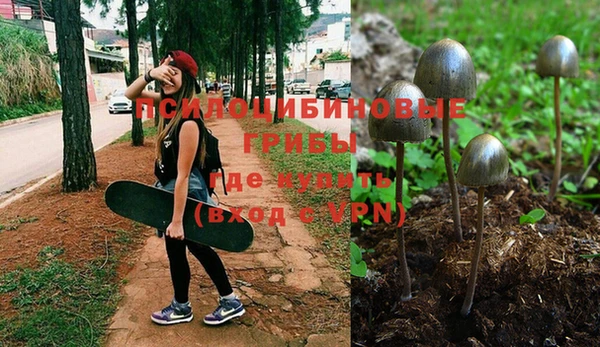ешки Алексин
