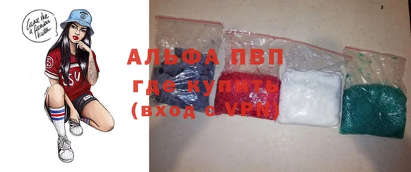 крисы Надым