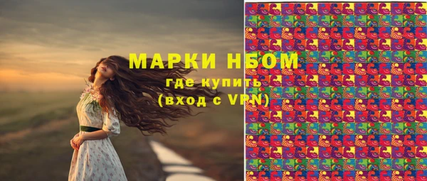 ешки Алексин