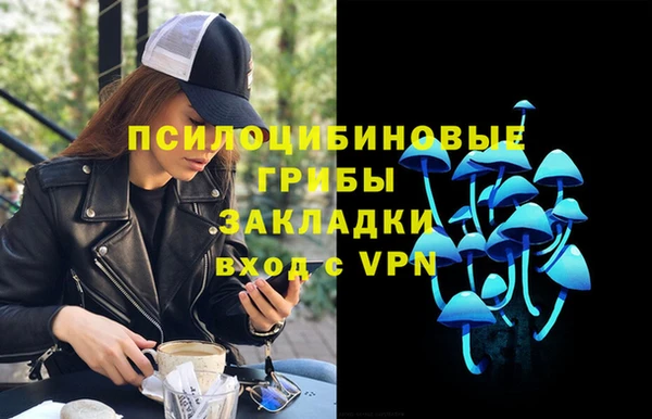 ешки Алексин
